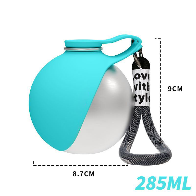 Portable water bottle for dogs going out